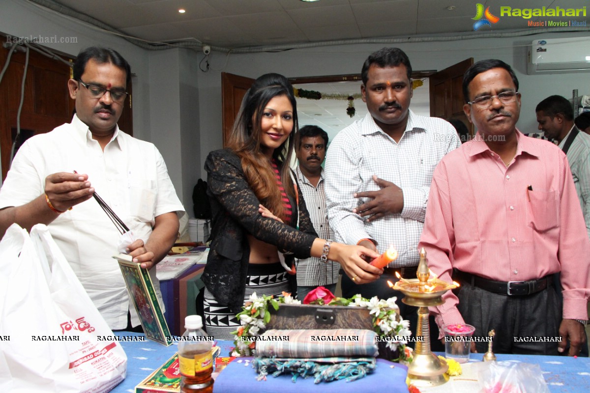 Ritya launches Pochampally IKAT Art Mela 2016 at NSIC