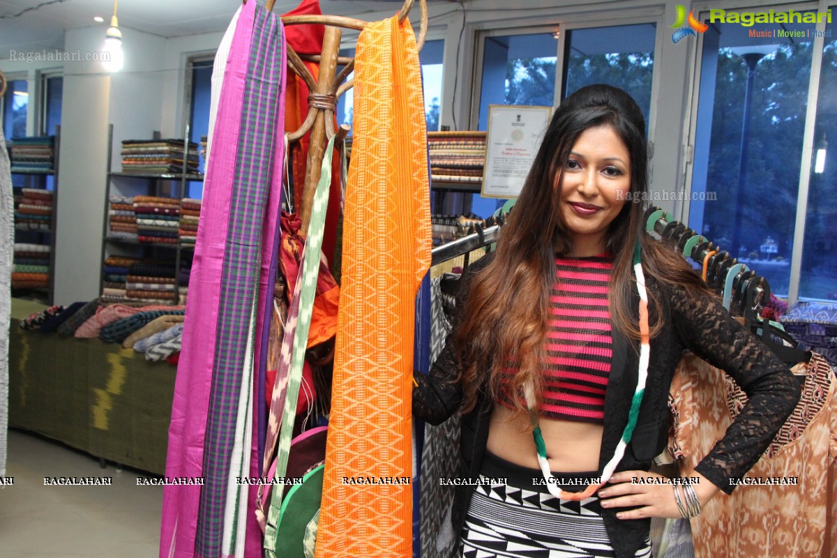 Ritya launches Pochampally IKAT Art Mela 2016 at NSIC