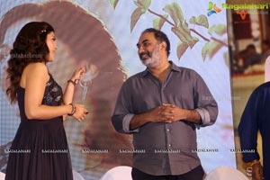 Mahanubhavudu Success Meet