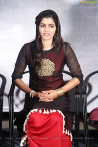 Telugu Cinema Mela Press Meet