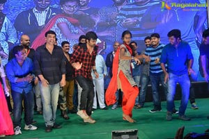 Raja The Great Success Celebrations