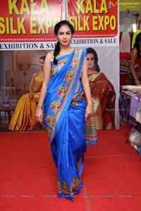 Kala Silk Handloom and Handicrafts Expo