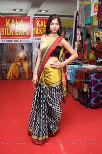 Kala Silk Handloom and Handicrafts Expo