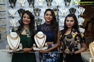 Trendz Bridal Expo October 2017