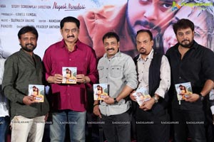 Desa Dimmari Audio Launch 