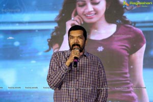 Hello Guru Prema Kosame Success Meet