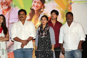 Telugu Movie Shubhalekha+Lu Press Meet