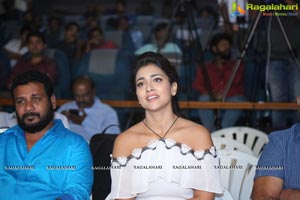 Veera Bhoga Vasantha Rayalu Trailer Launch