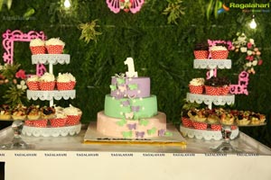 Anika's 1st Birthday