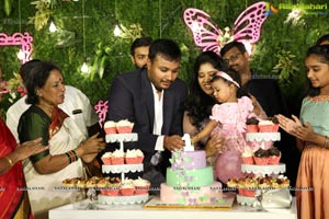 Anika's 1st Birthday