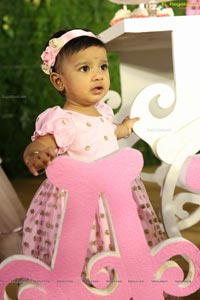 Anika's 1st Birthday