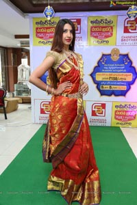 Chandana Brothers Dasara Festival Collection Launch