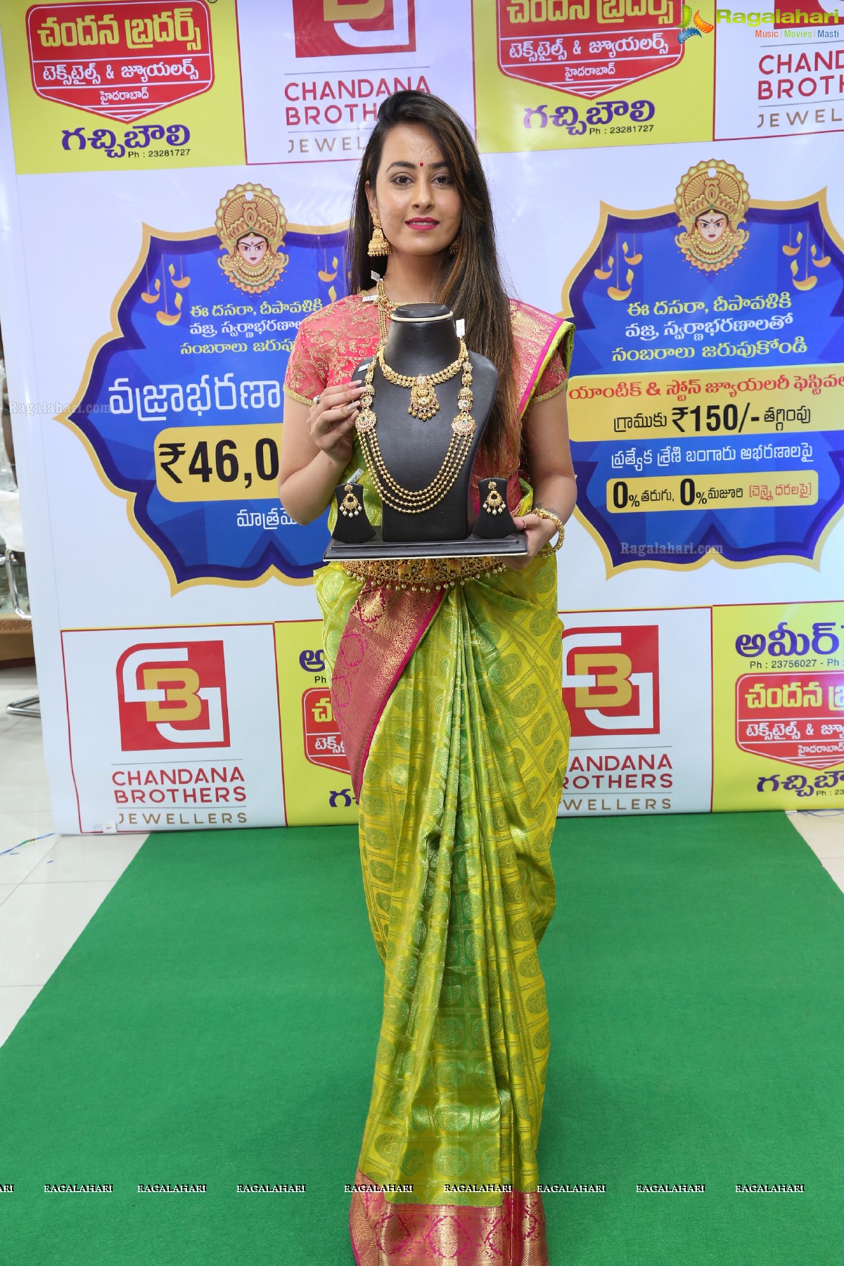 Chandana Brothers Dasara Festival Collection Launch