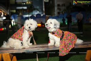 Dogs Halloween party by IXORA Corporate Services 