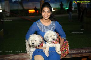 Dogs Halloween party by IXORA Corporate Services 