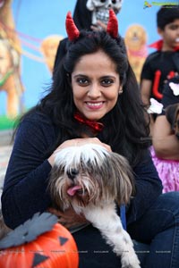 Dogs Halloween party by IXORA Corporate Services 