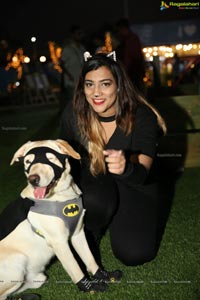 Dogs Halloween party by IXORA Corporate Services 