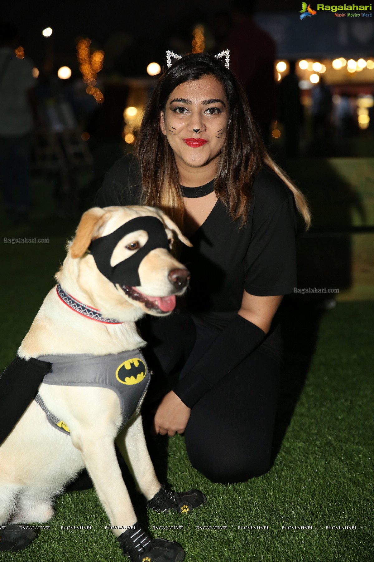 Dogs Halloween - Unique Celebrations by IXORA Corporate Services 