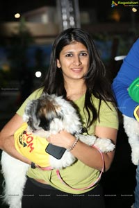 Dogs Halloween party by IXORA Corporate Services 