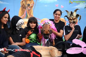 Dogs Halloween party by IXORA Corporate Services 