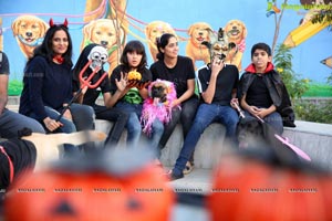 Dogs Halloween party by IXORA Corporate Services 