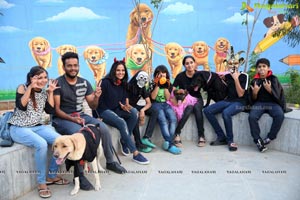 Dogs Halloween party by IXORA Corporate Services 