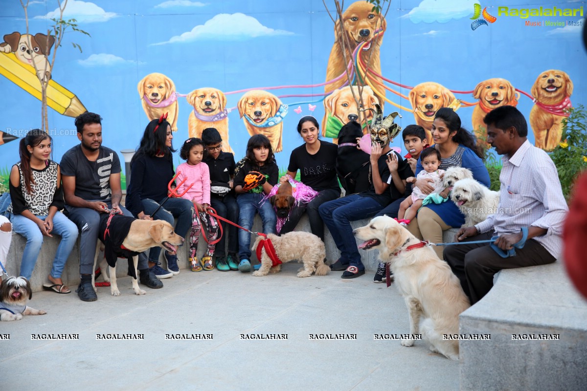 Dogs Halloween - Unique Celebrations by IXORA Corporate Services 