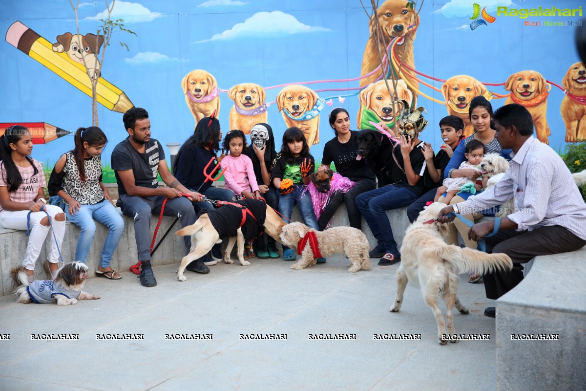 Dogs Halloween - Unique Celebrations by IXORA Corporate Services 