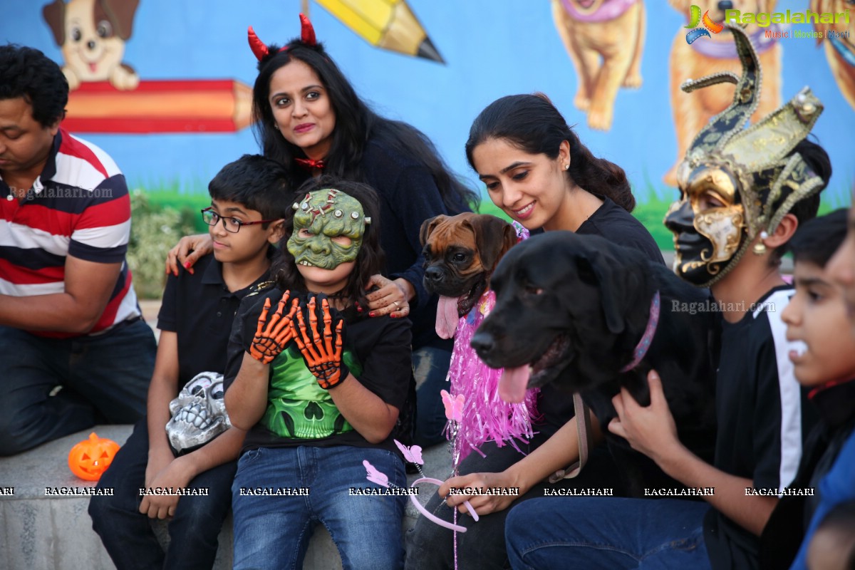 Dogs Halloween - Unique Celebrations by IXORA Corporate Services 