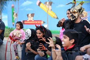 Dogs Halloween party by IXORA Corporate Services 