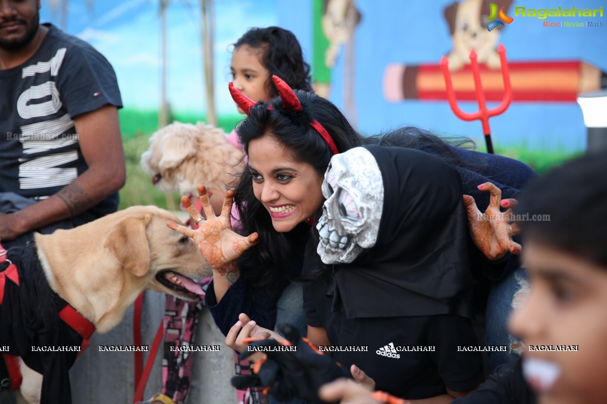 Dogs Halloween - Unique Celebrations by IXORA Corporate Services 