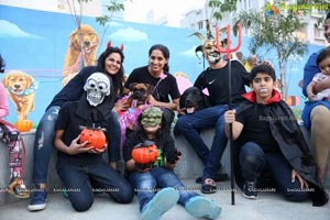 Dogs Halloween party by IXORA Corporate Services 
