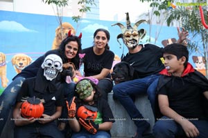 Dogs Halloween party by IXORA Corporate Services 