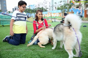 Dogs Halloween party by IXORA Corporate Services 