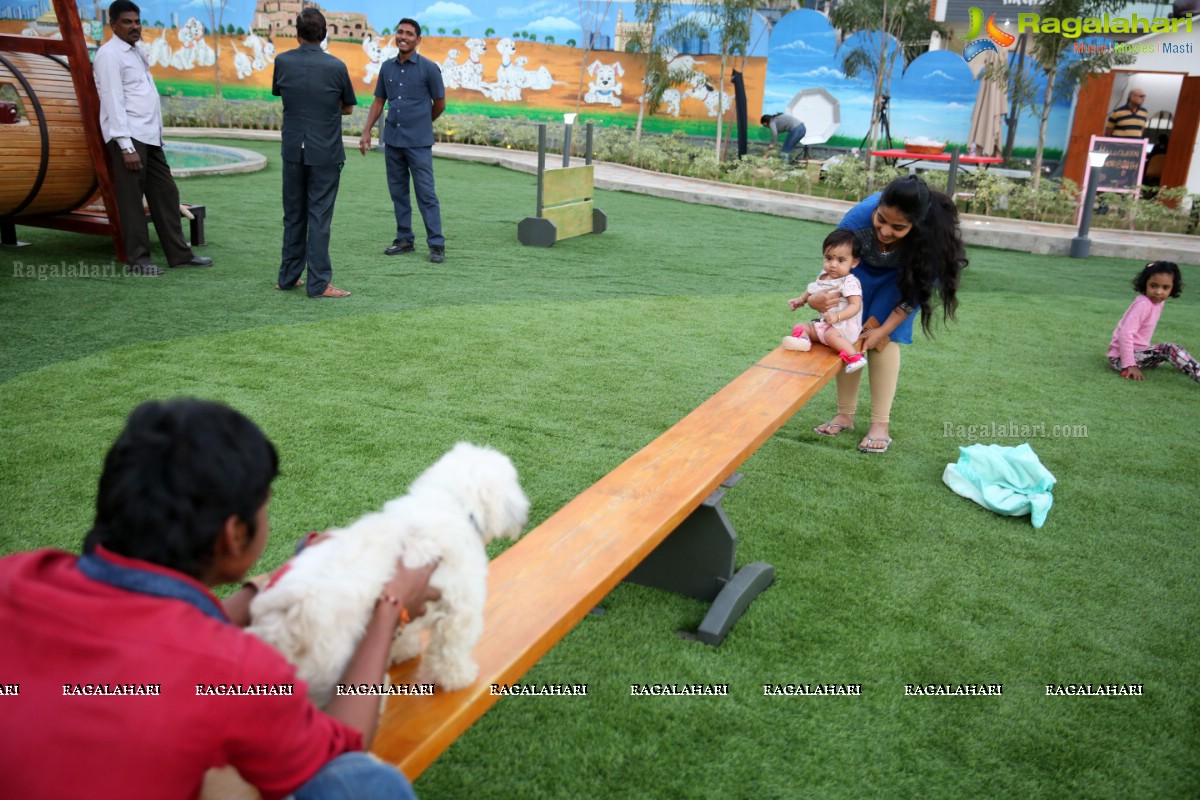 Dogs Halloween - Unique Celebrations by IXORA Corporate Services 