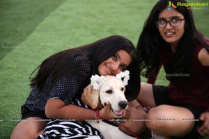 Dogs Halloween party by IXORA Corporate Services 