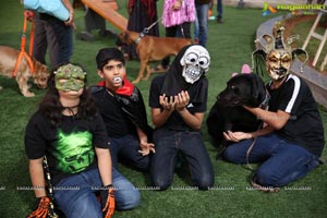 Dogs Halloween party by IXORA Corporate Services 