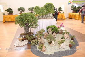 Japanese Art Expo by Ohara School of Ikebana