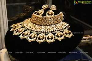 Jaipur Gems n Jewels & Patny Jewels' Jewellery Exhibition