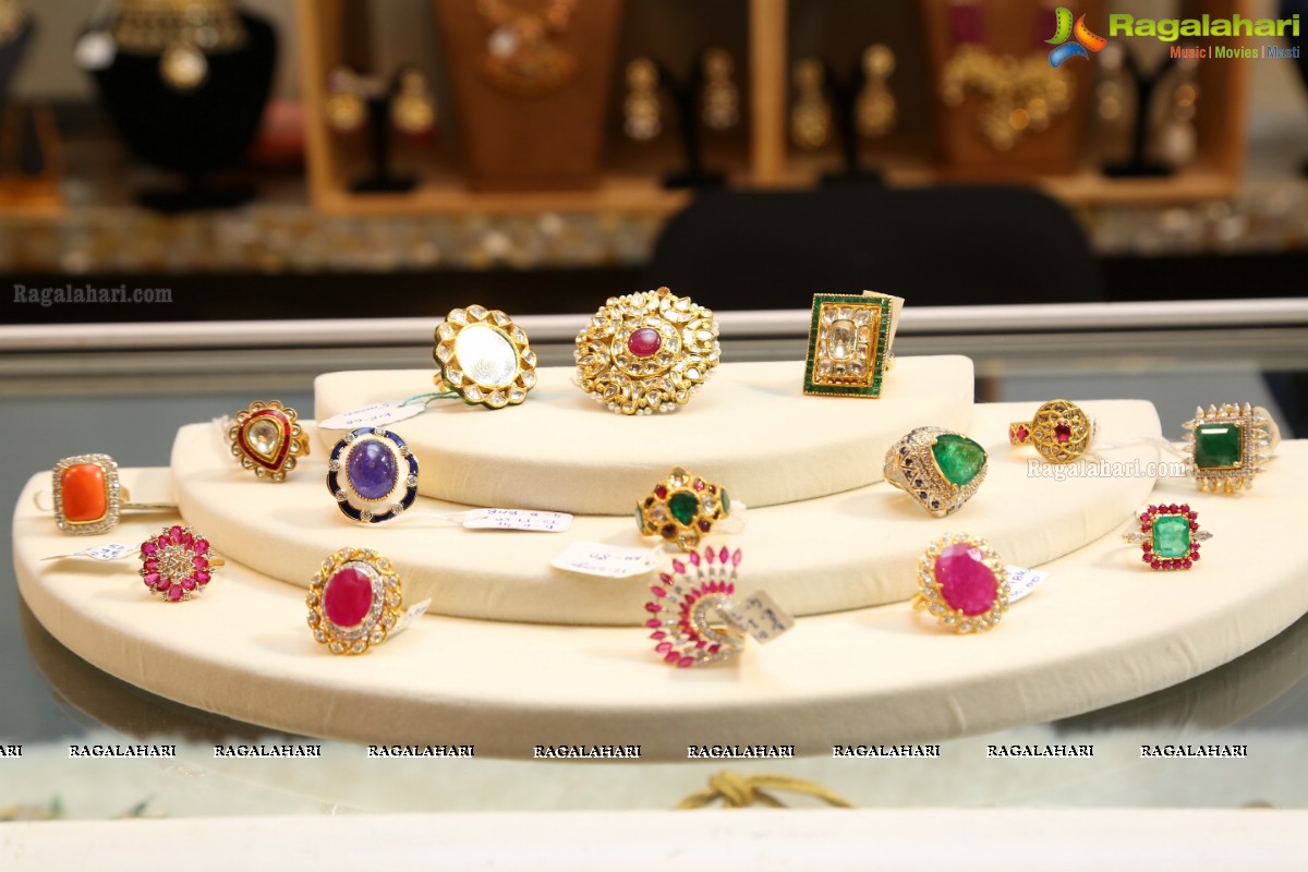 Jaipur Gems And Jewels Along With Patny Jewels Conducts Unique Jewellery Exhibition at Park Hyatt