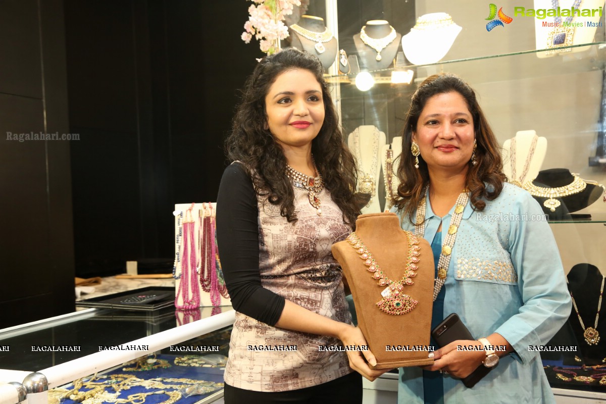 Jaipur Gems And Jewels Along With Patny Jewels Conducts Unique Jewellery Exhibition at Park Hyatt