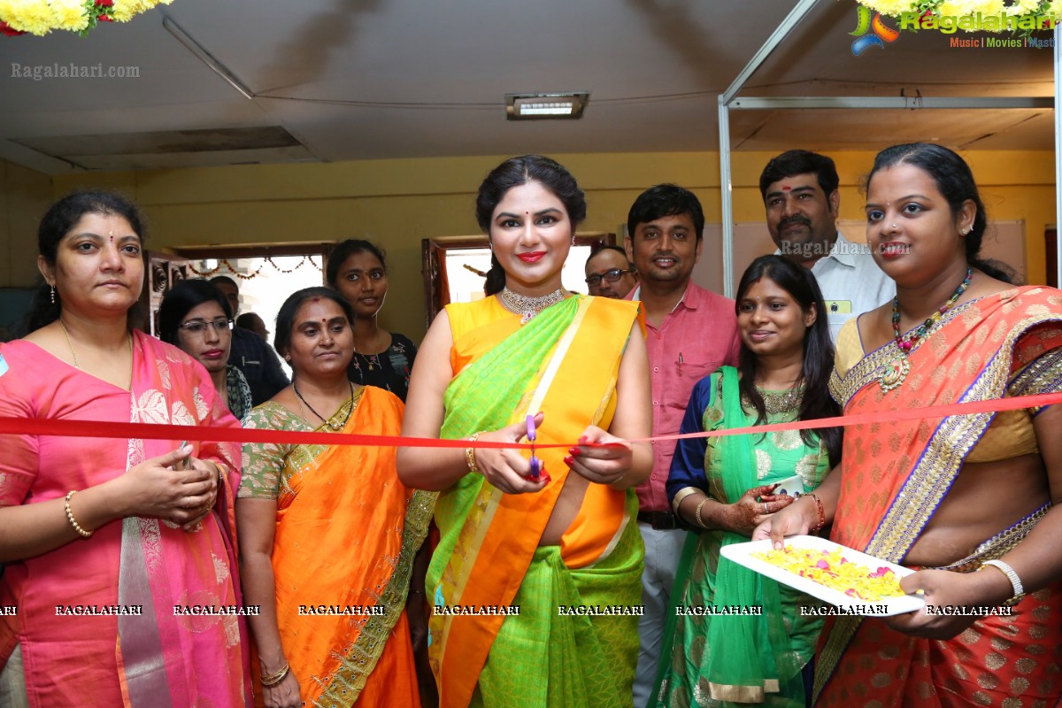 Shailaja Reddy Inaugurates Kala Silk Handloom Expo 2018 At TTD Himayatnagar