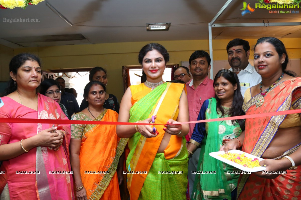 Shailaja Reddy Inaugurates Kala Silk Handloom Expo 2018 At TTD Himayatnagar