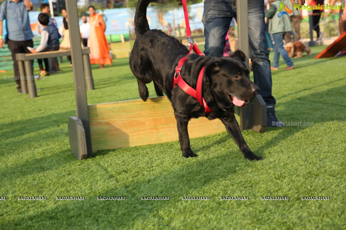 GHMC 2nd Loocafe Launch & Session on 'Safeguarding pets during Diwali' @ The Dog Park