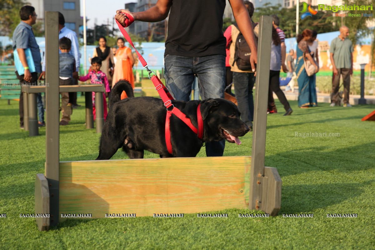 GHMC 2nd Loocafe Launch & Session on 'Safeguarding pets during Diwali' @ The Dog Park