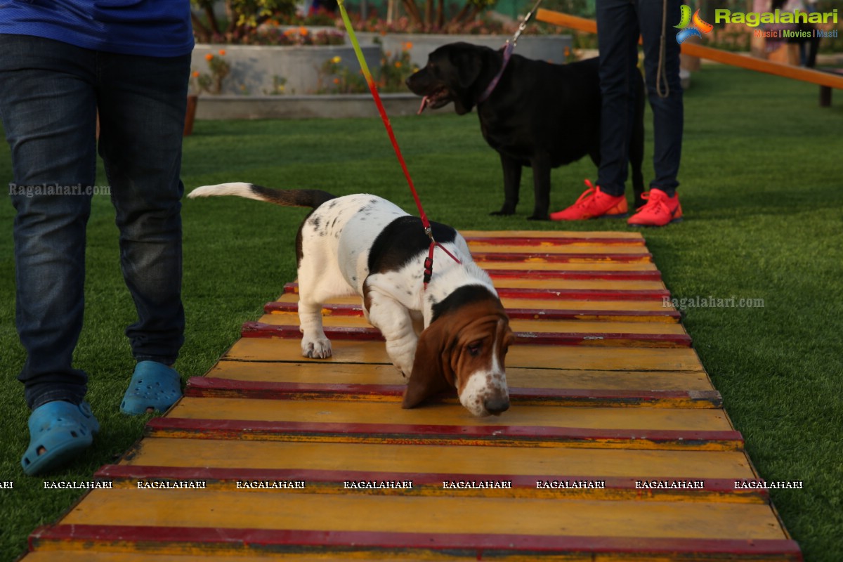 GHMC 2nd Loocafe Launch & Session on 'Safeguarding pets during Diwali' @ The Dog Park