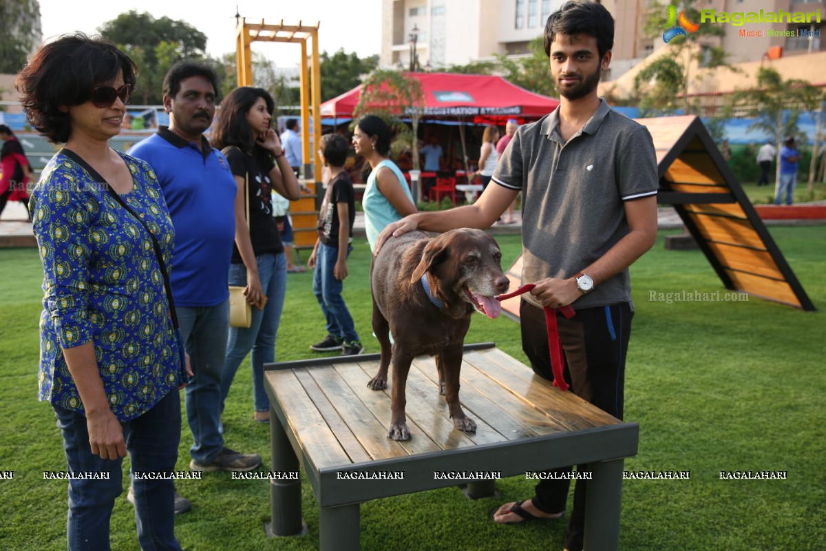 GHMC 2nd Loocafe Launch & Session on 'Safeguarding pets during Diwali' @ The Dog Park