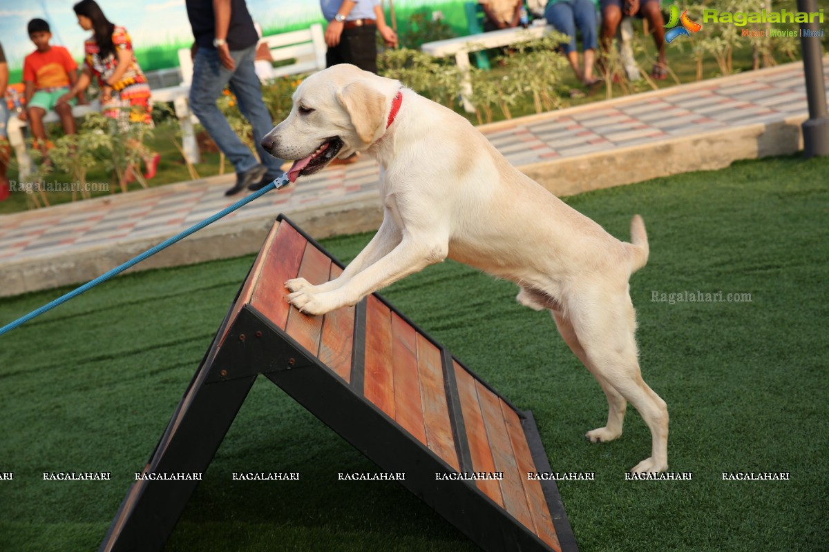 GHMC 2nd Loocafe Launch & Session on 'Safeguarding pets during Diwali' @ The Dog Park