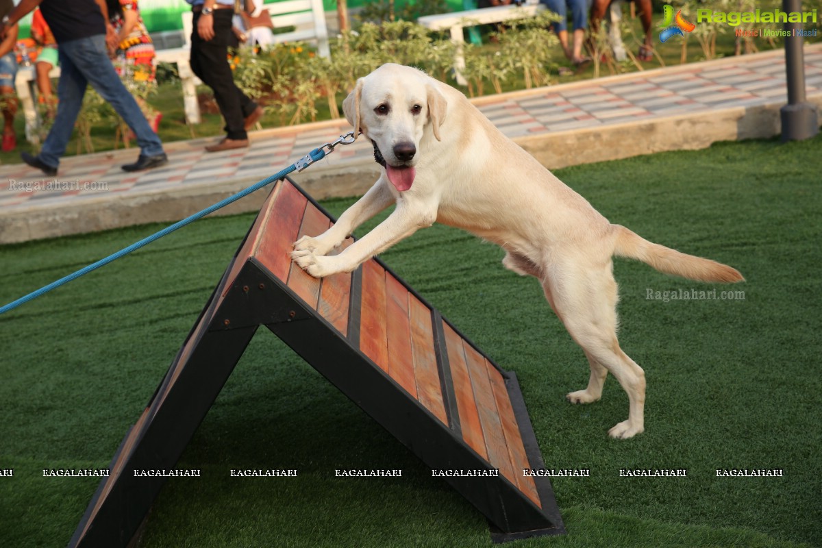 GHMC 2nd Loocafe Launch & Session on 'Safeguarding pets during Diwali' @ The Dog Park