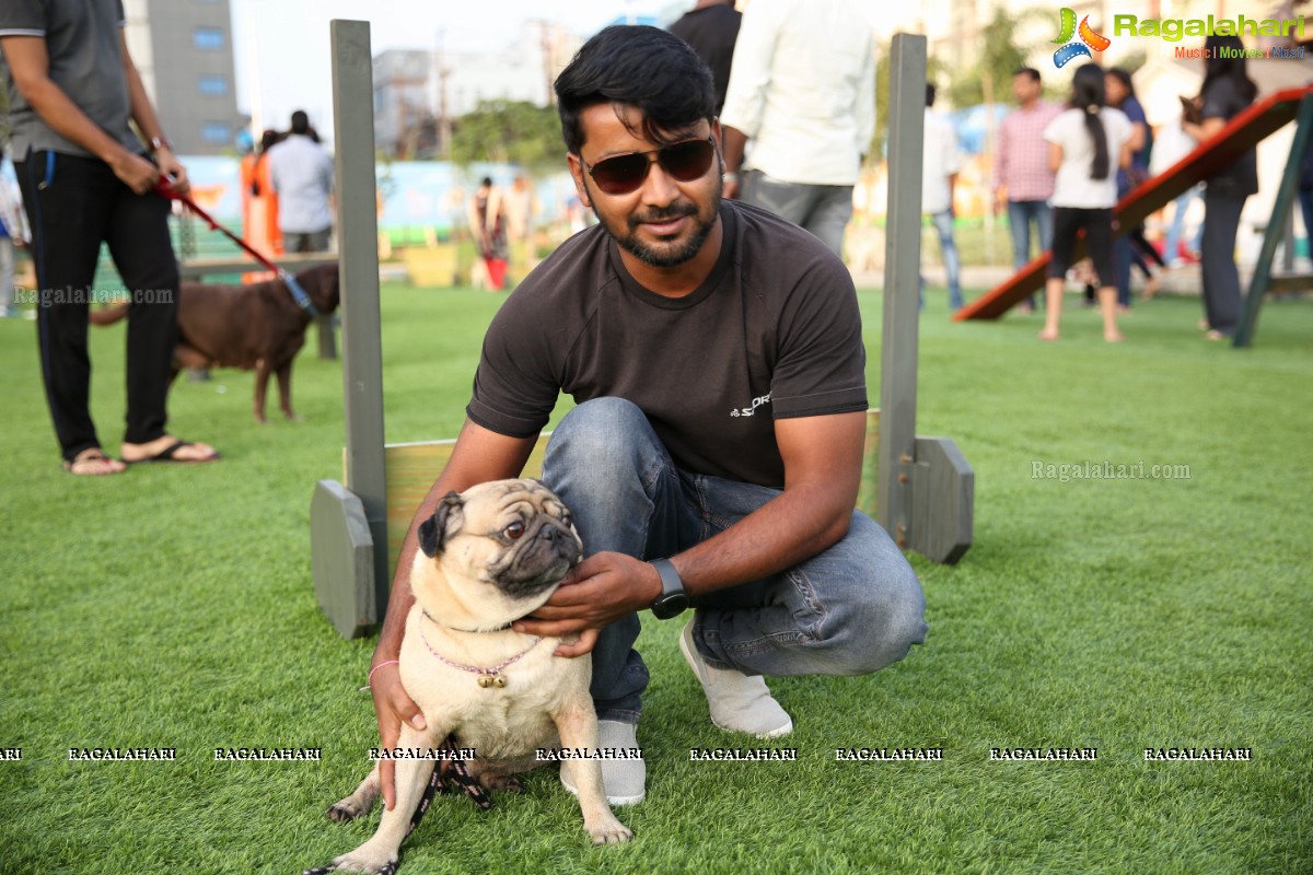 GHMC 2nd Loocafe Launch & Session on 'Safeguarding pets during Diwali' @ The Dog Park